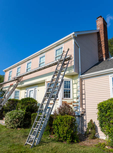 Best Shed Removal  in Hutchinson, MN